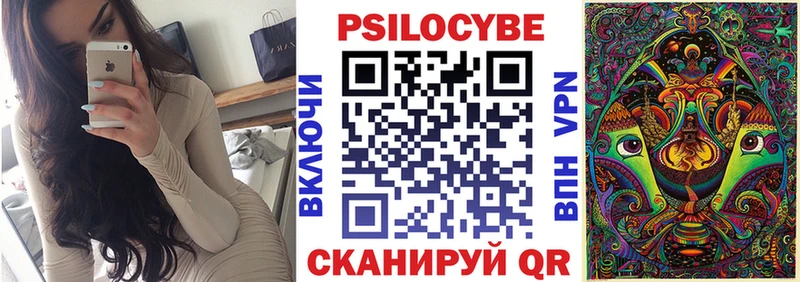 blacksprut ONION  Тихвин  Галлюциногенные грибы MAGIC MUSHROOMS  где найти наркотики 